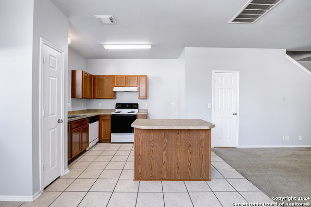 10302 Lateleaf Oak Property Photo 10