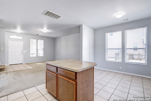 10302 Lateleaf Oak Property Photo 12