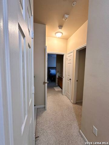 6160 Eckhert Property Photo 22
