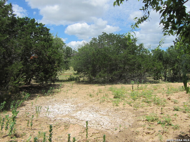 1999939 Property Photo 10