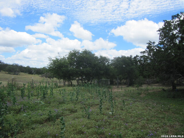 1999939 Property Photo 12
