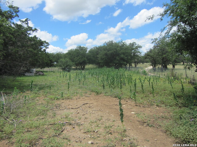 1999939 Property Photo 13