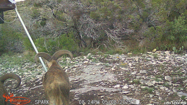 21 N High Lonesome Ranch Property Photo 12
