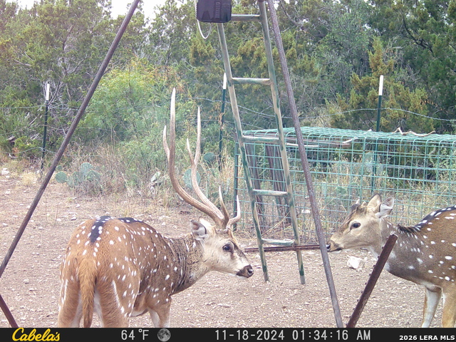 21 N High Lonesome Ranch Property Photo 13