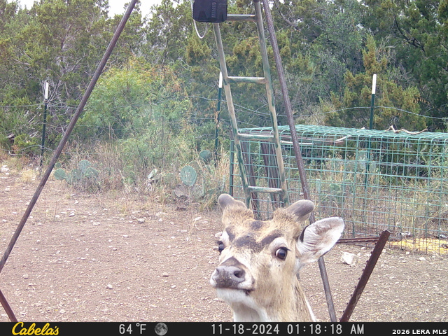 21 N High Lonesome Ranch Property Photo 14