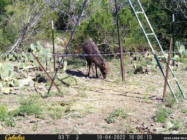 21 N High Lonesome Ranch Property Photo 17