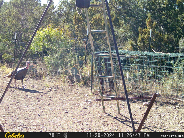 21 N High Lonesome Ranch Property Photo 18