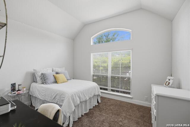 8223 Scarlet Gaura Property Photo 14