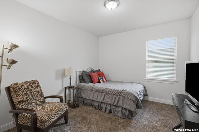 8223 Scarlet Gaura Property Photo 17