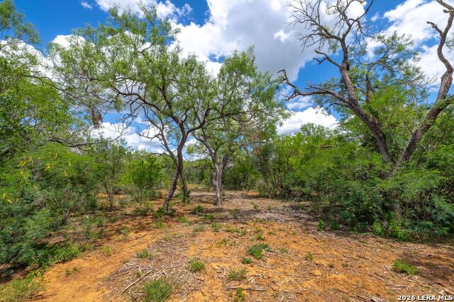0 Fm 462 Property Photo 2