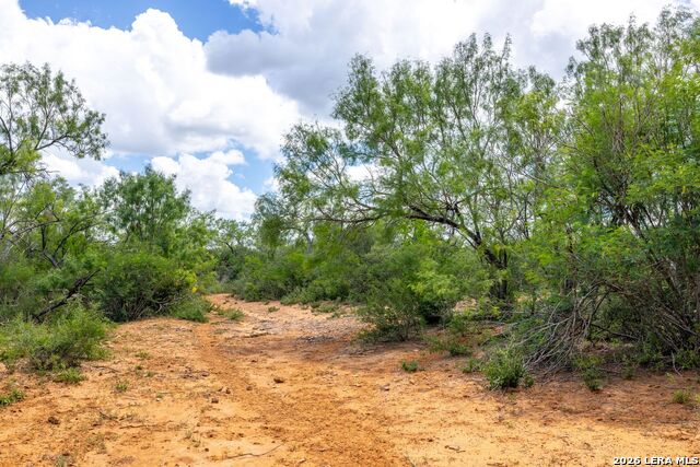 0 Fm 462 Property Photo 3