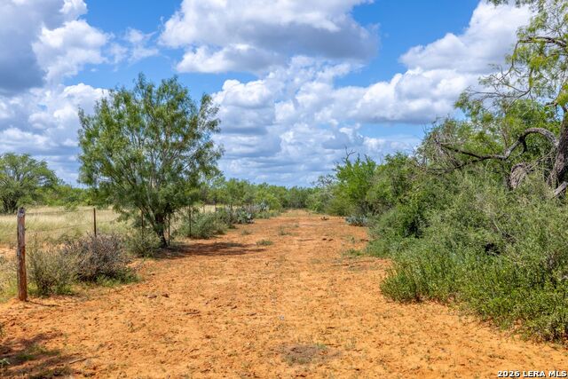 0 Fm 462 Property Photo 4