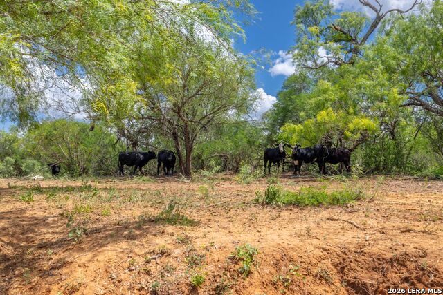0 Fm 462 Property Photo 5
