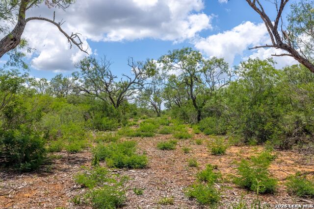0 Fm 462 Property Photo 8