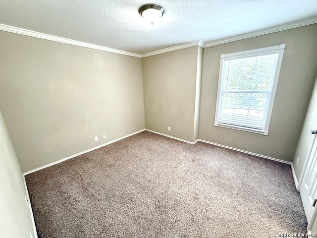 5716 Watercress Dr Property Photo 24