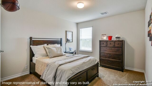 429 Waterfall Point Property Photo 21