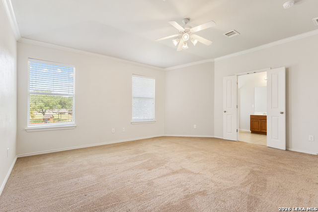 3703 Majestic Sage Property Photo 16