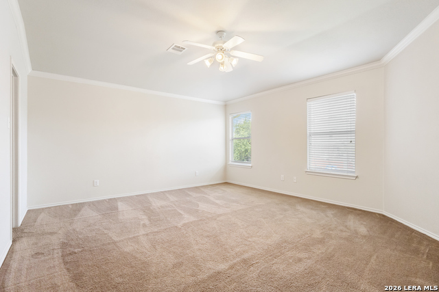 3703 Majestic Sage Property Photo 17