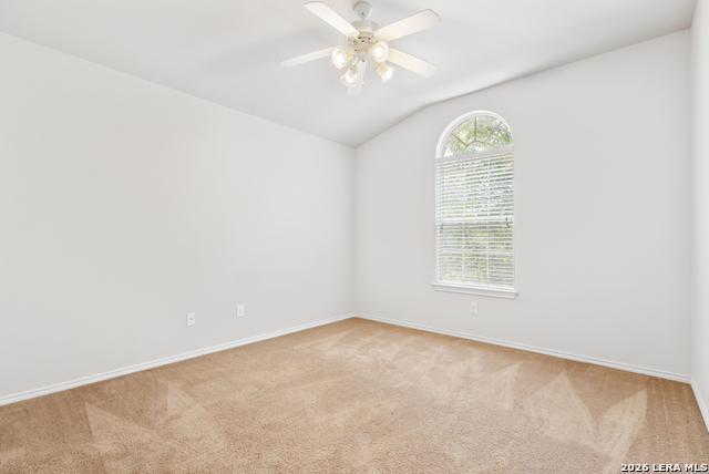 3703 Majestic Sage Property Photo 21