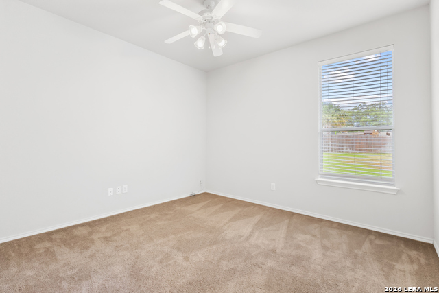 3703 Majestic Sage Property Photo 24