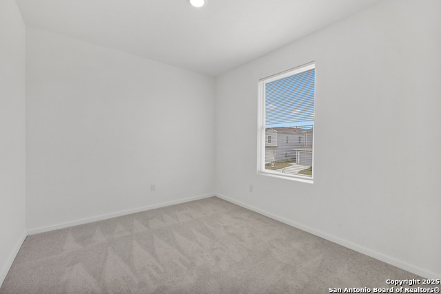 5014 Botanic Trl Property Photo 12
