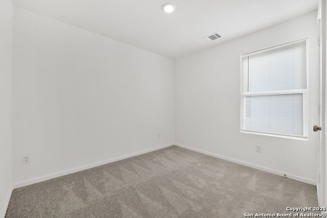 5014 Botanic Trl Property Photo 15