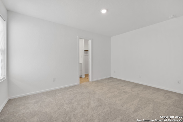 5014 Botanic Trl Property Photo 16