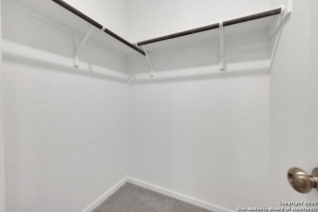 5014 Botanic Trl Property Photo 19