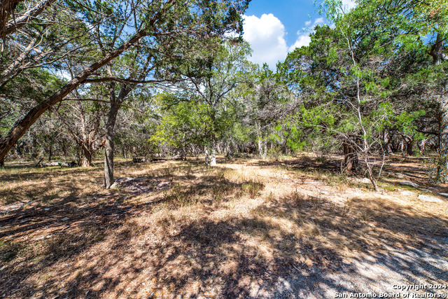 31210 Stahl Ln Property Photo 31