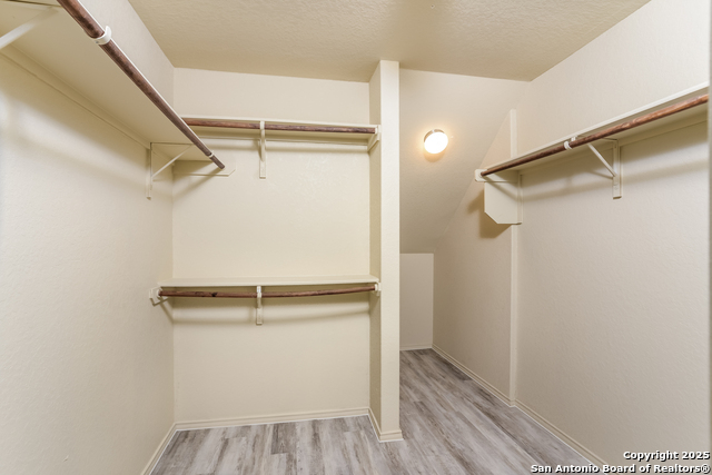7610 Cypress Vine Property Photo 9