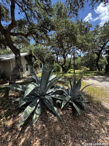 9317 Park Road 37 Property Photo 5