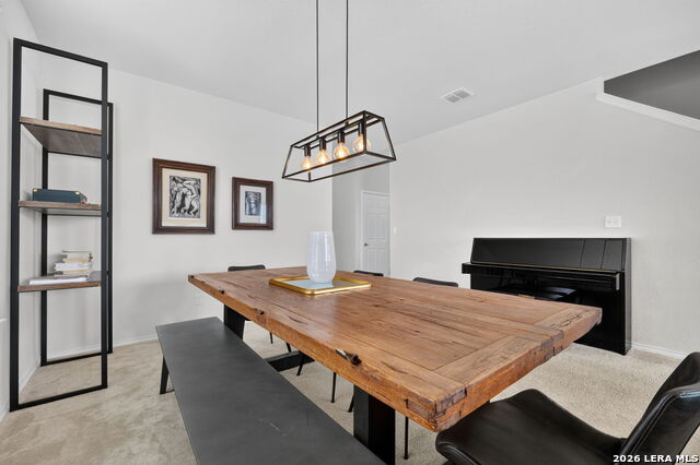 303 Salz Way Property Photo 10