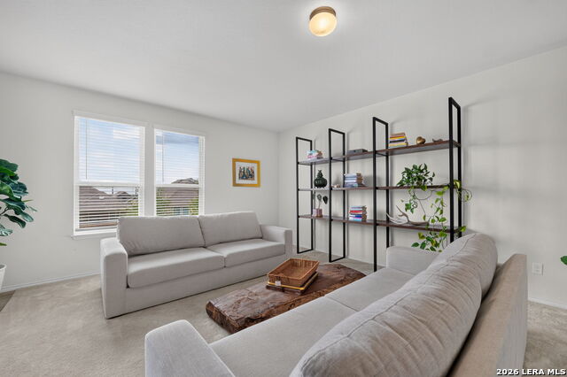 303 Salz Way Property Photo 11