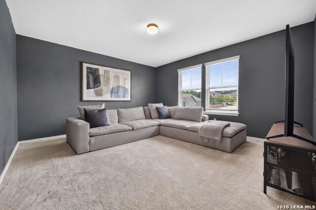 303 Salz Way Property Photo 18