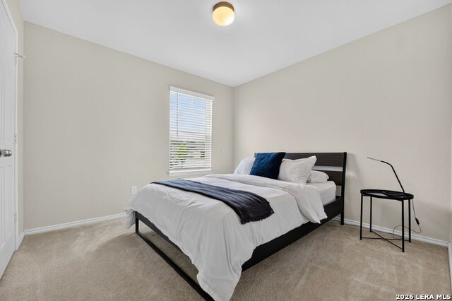 303 Salz Way Property Photo 22