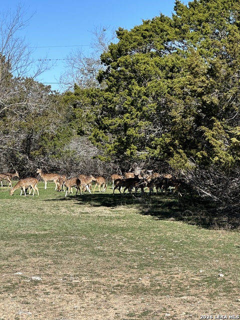 0 Deerwood Property Photo 1