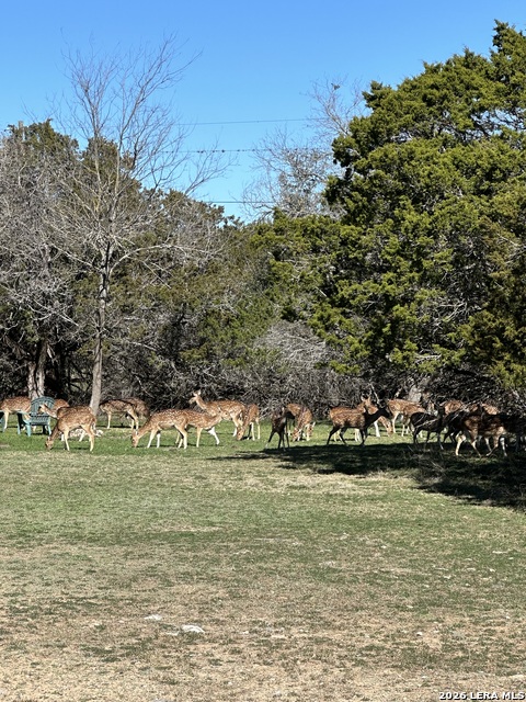 0 Deerwood Property Photo 2