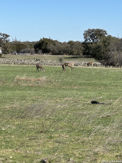 0 Deerwood Property Photo 7