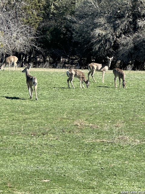 0 Deerwood Property Photo 8