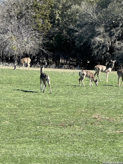 0 Deerwood Property Photo 9
