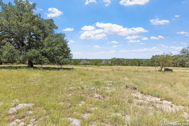 110 Live Oak Ln Property Photo 31