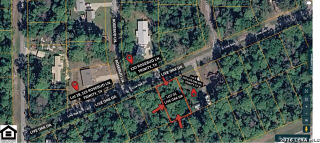 0 Live Oak Property Photo 3