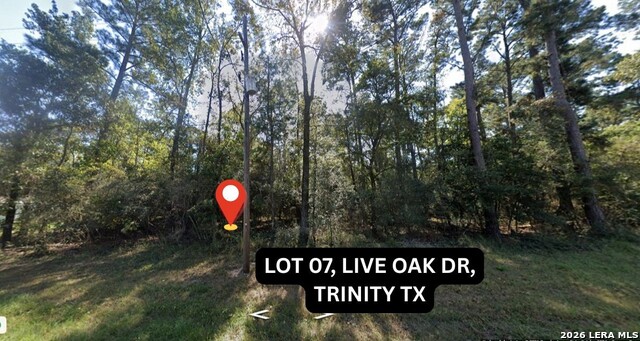0 Live Oak Property Photo 6