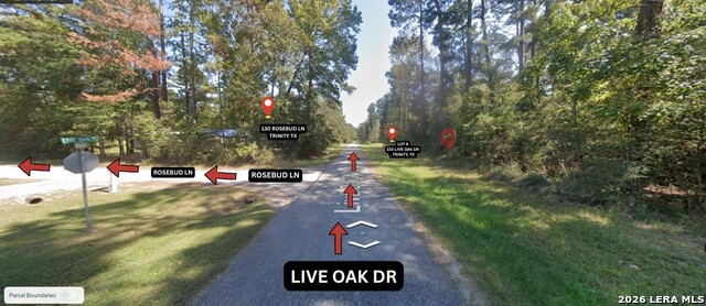 0 Live Oak Property Photo 7