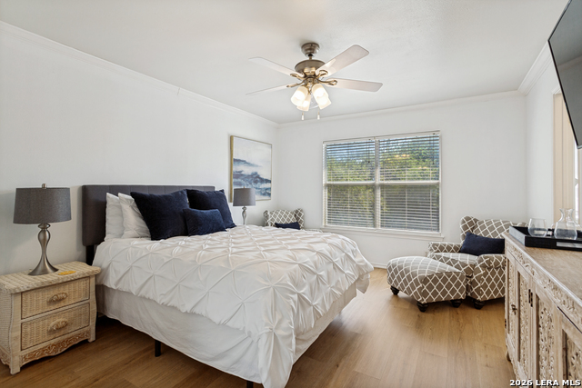 704 Leopard Holw Property Photo 6