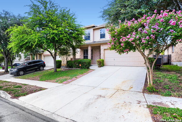 12118 Painted Daisy Property Photo 4