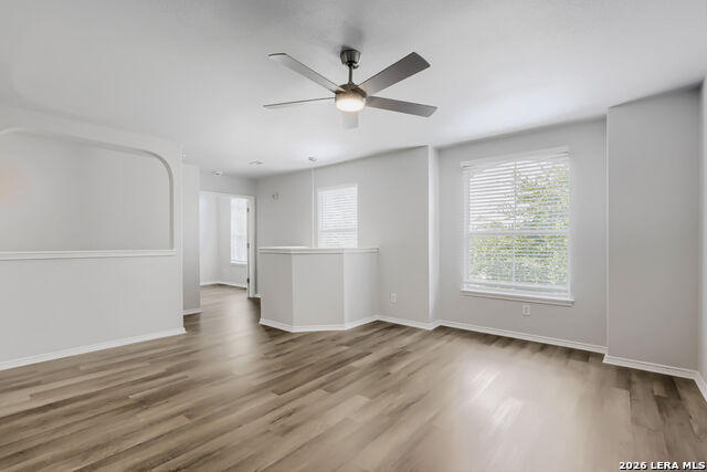 12118 Painted Daisy Property Photo 14