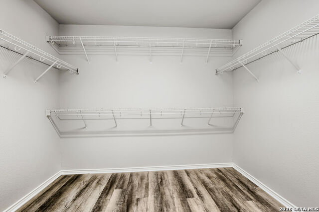 12118 Painted Daisy Property Photo 19