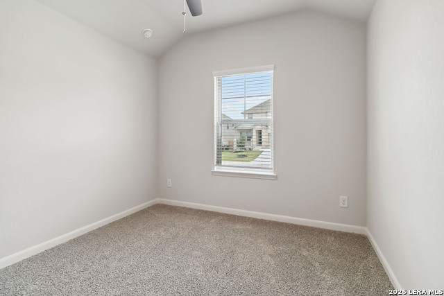 12816 Lantern Tree Property Photo 17