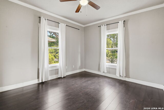 1629 W Woodlawn Property Photo 13